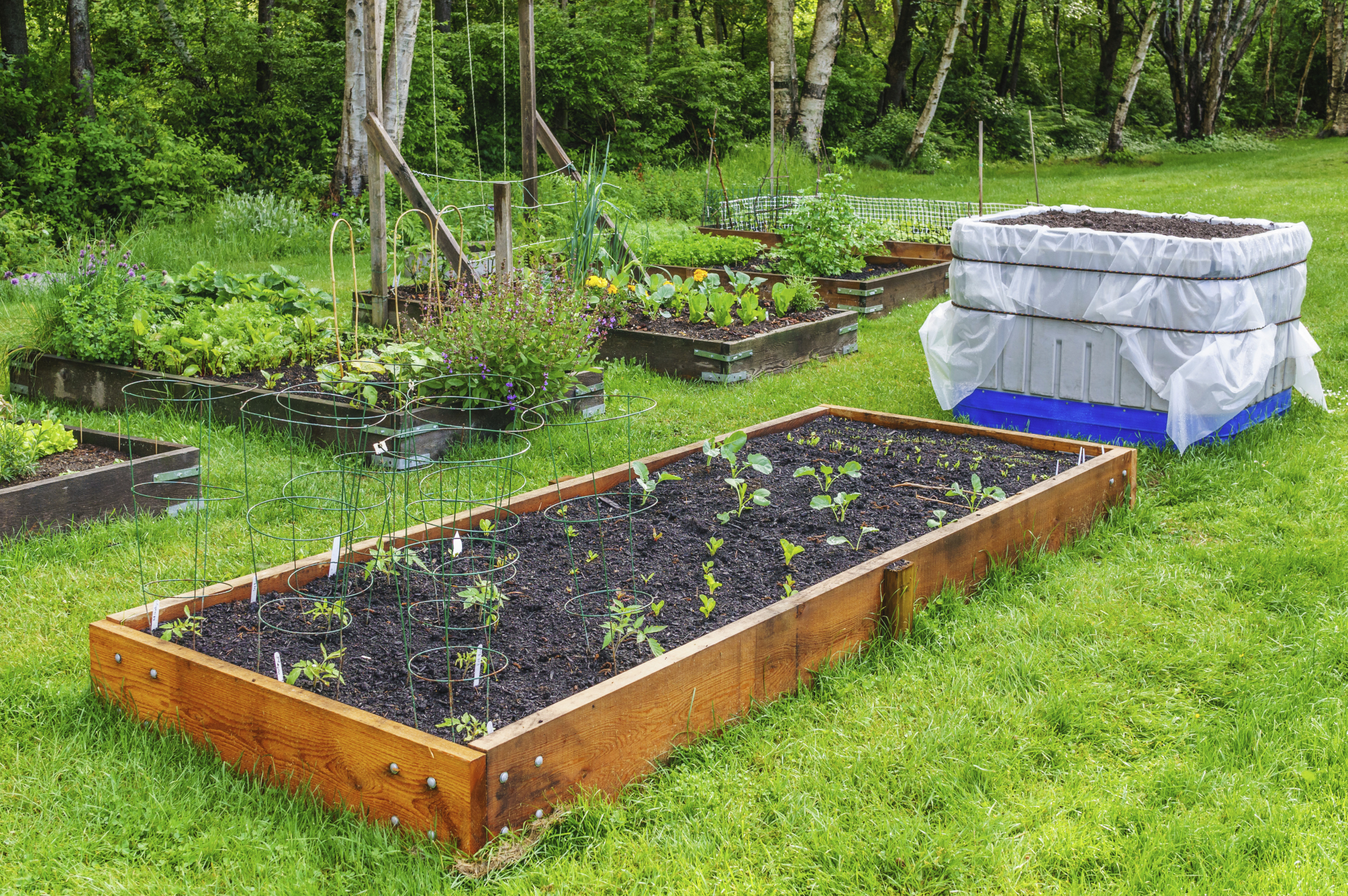 Build Your Own Self Sustaining Home Build Your Own Self Sustaining Home